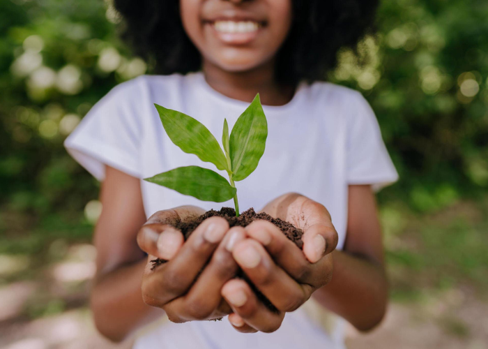 Eficiência Empresarial e na Sustentabilidade Ambiental